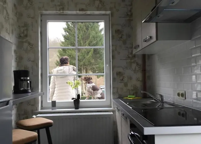 Prázdninový dům Vakantiewoning Charme Bohan Sur Semois